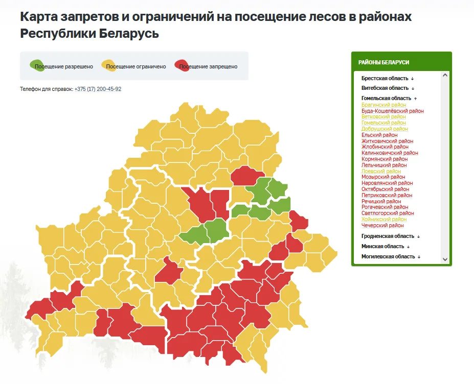 В шести районах Гомельской области ограничили посещение лесов