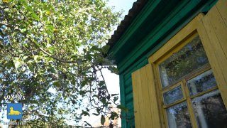 Студенты-строители из Гомеля помогли ветерану труда навести порядок во дворе