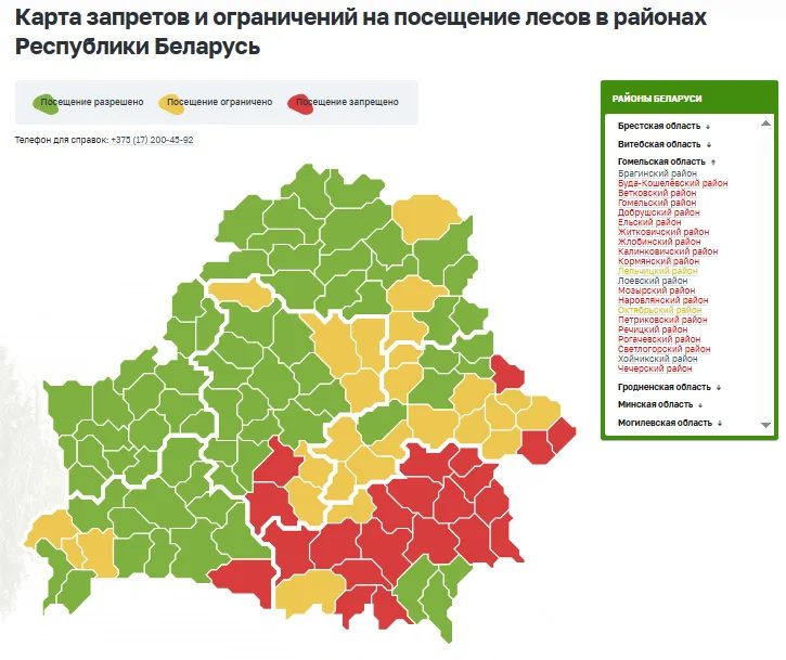 В большинстве лесов Гомельской области введен запрет на посещение