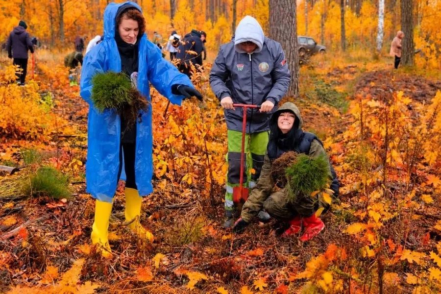 Работники «Гомсельмаша» высадили 6000 деревьев в Калинковичском районе