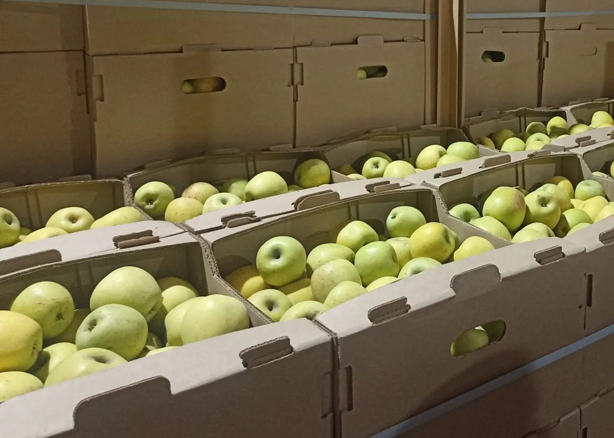 Выявлена схема по закупке продукции через фиктивных поставщиков