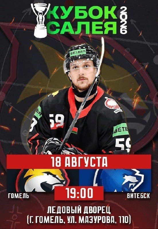 «Гомель» сыграет с «Витебском» в Кубке Салея