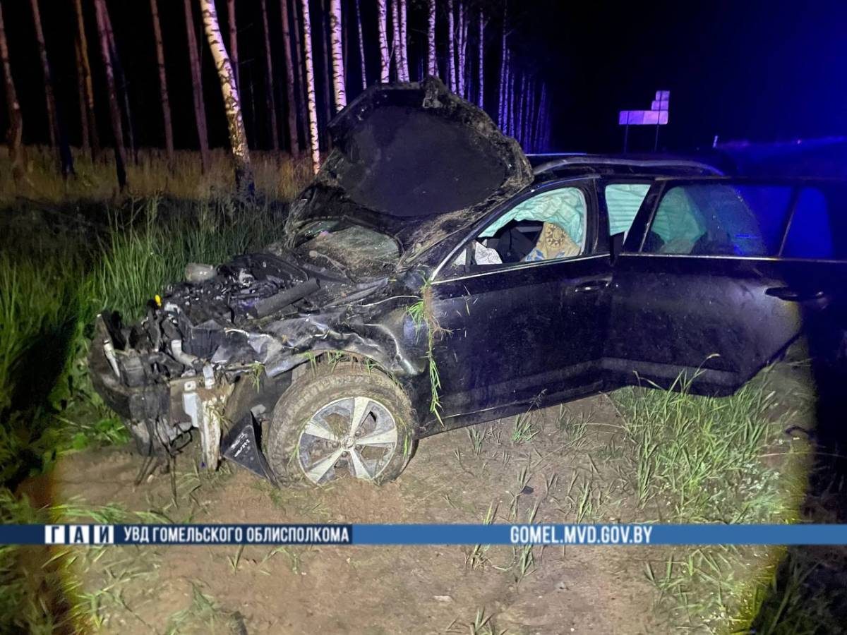 В Жлобинском районе перевернулась Skoda, погибла пассажирка