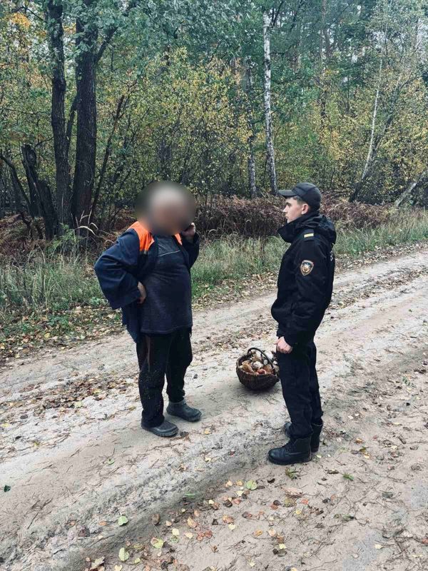 Спасатели помогли пенсионеру выйти из леса в Лоевском районе