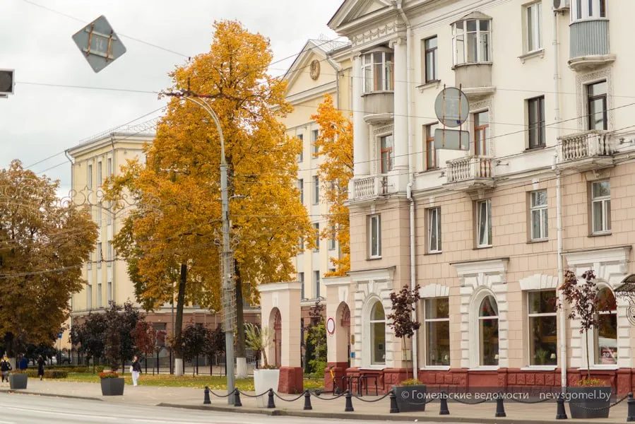 В Гомеле осудили двух педофилов, преступления совершались против малолетних девочек