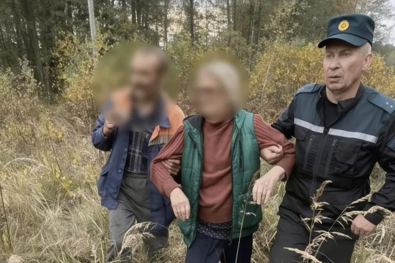 В Чечерском районе нашли заблудившуюся в лесу пенсионерку