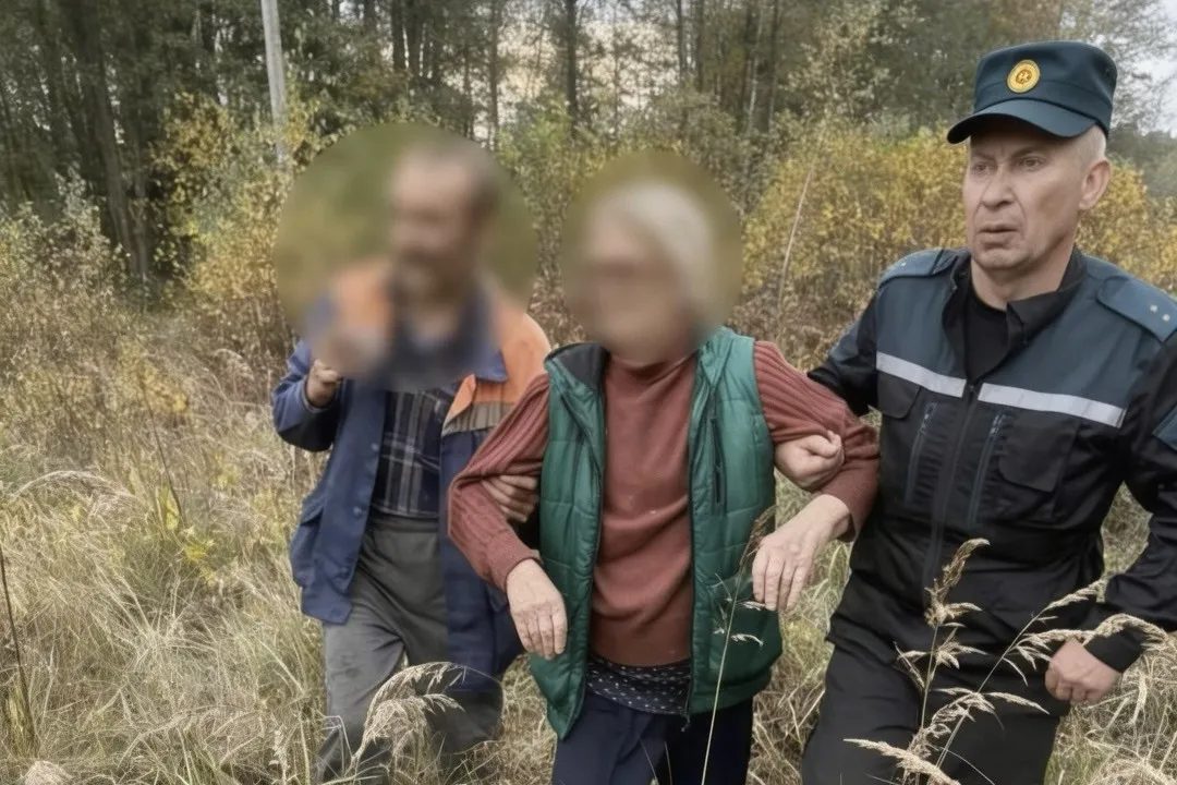 В Чечерском районе нашли заблудившуюся в лесу пенсионерку
