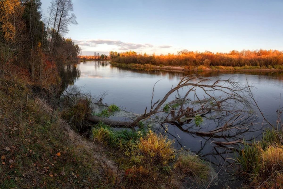 На реках Гомельской области растет уровень воды из-за дождей