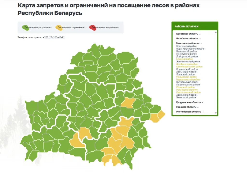 В восьми районах Гомельской области ограничили посещение лесов