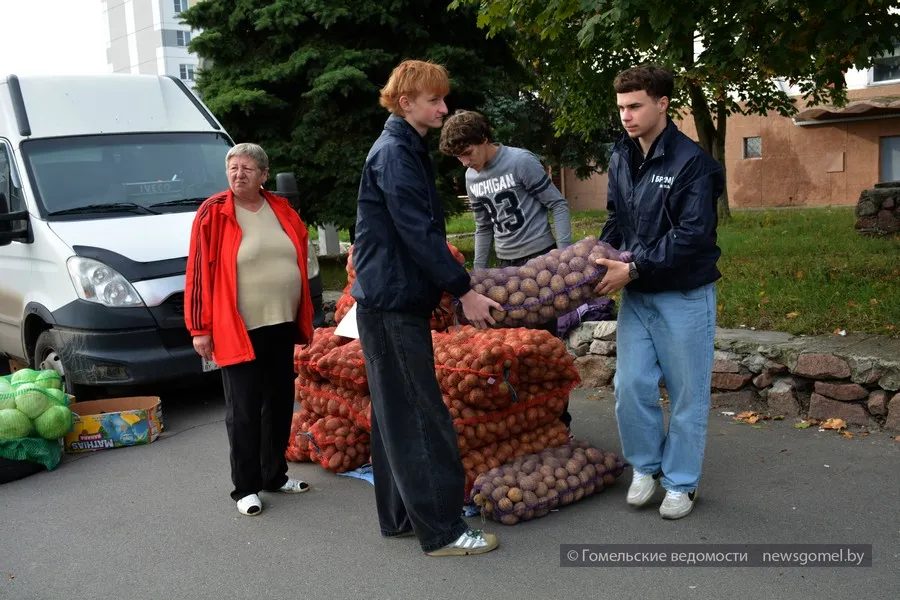 Волонтёры БРСМ помогают пожилым на ярмарке в Советском районе