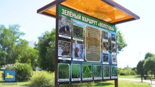 В Гомеле обустроен зелёный маршрут «Волотова»