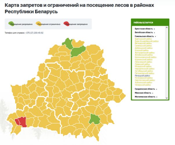 Леса Гомельской области закрыты для посещения во всех районах, кроме Речицкого