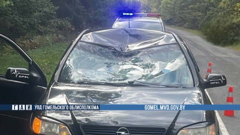 За сутки в области произошло три ДТП со смертельным исходом