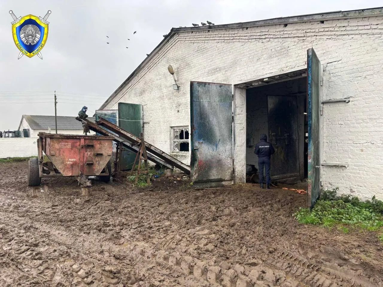 В Добрушском районе выясняют обстоятельства гибели рабочего на молочно-товарной ферме