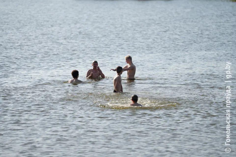 В Гомельской области безопасны для купания 63 пляжа