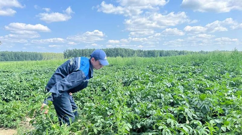 Школьник из Мозыря стал звездой соцсетей благодаря интервью о работе в студотряде