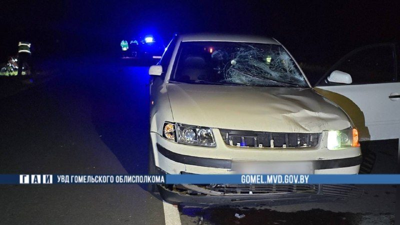 В Калинковичском районе автомобиль сбил пешехода, женщина погибла