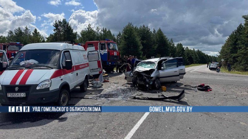 В Лоевском районе при столкновении автомобилей погиб пассажир