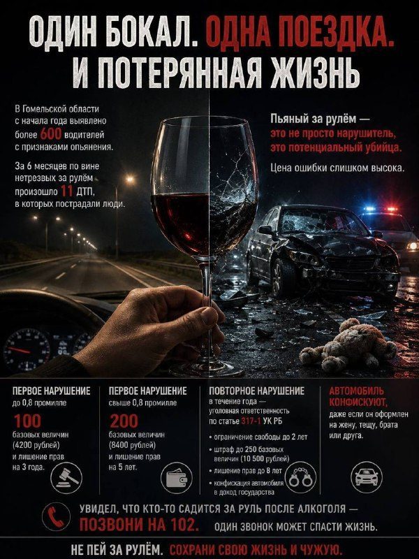 В Гомельской области более 600 пьяных водителей с начала года