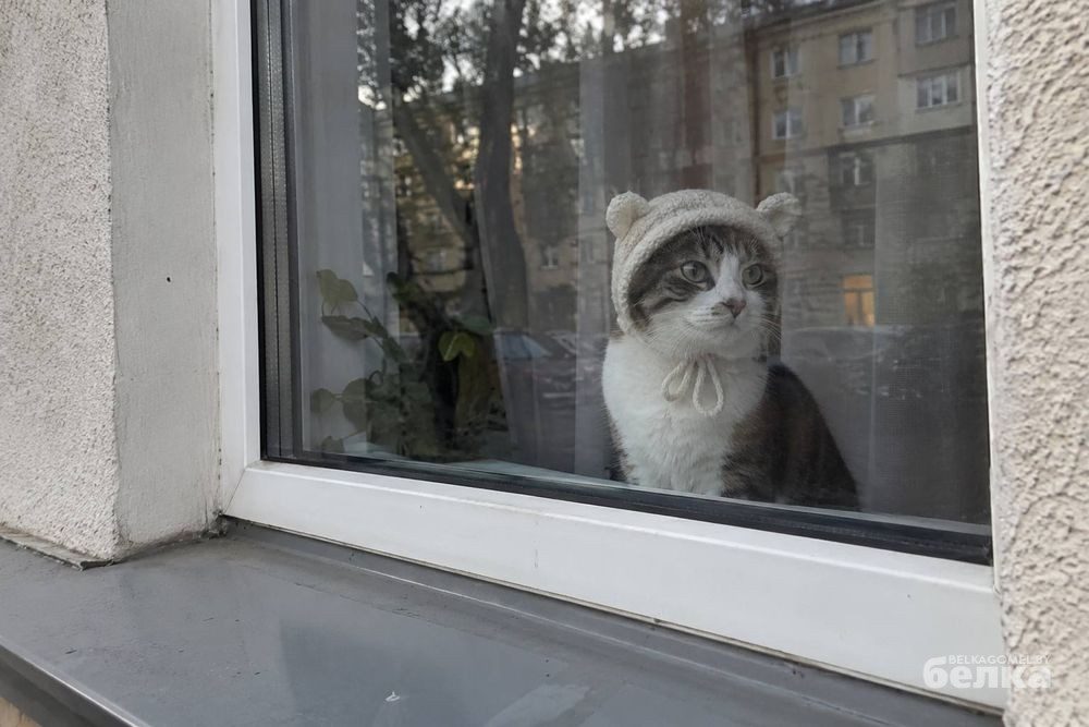 В Гомеле с 12 октября начнут включать отопление в социальных учреждениях