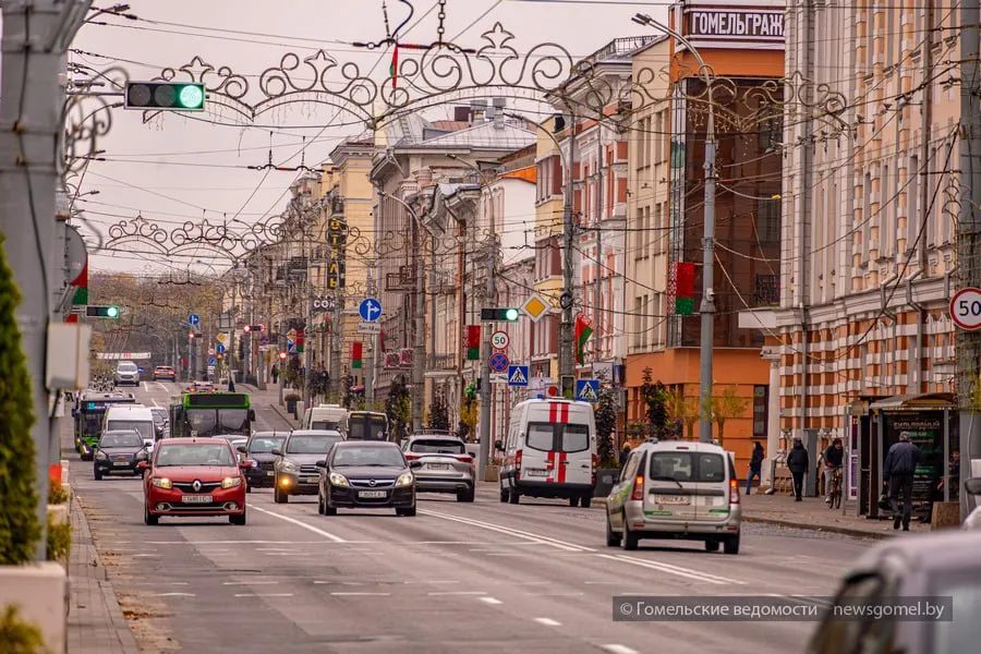 В Гомеле обсудили землю, парковки и регистрацию питомцев