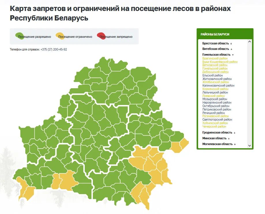 В 11 районах области ограничено посещение лесов