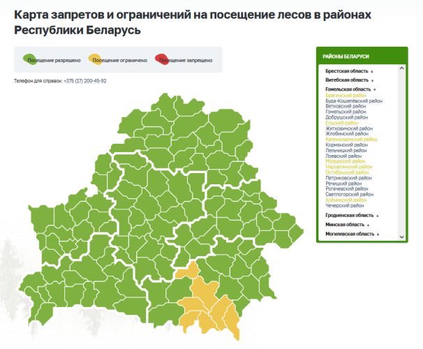 В семи районах Гомельской области ограничили посещение лесов