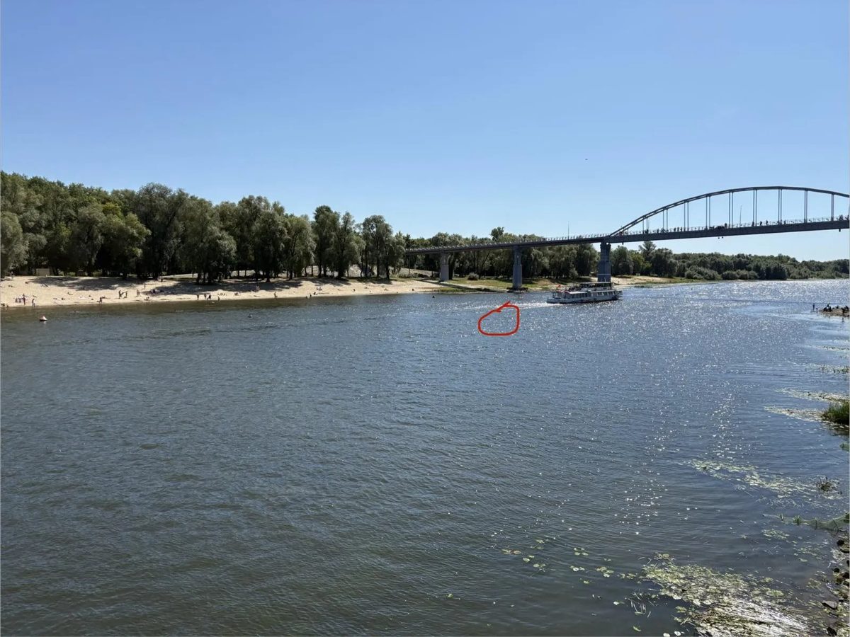 В Гомеле спасатели вытащили из воды тонущего мужчину