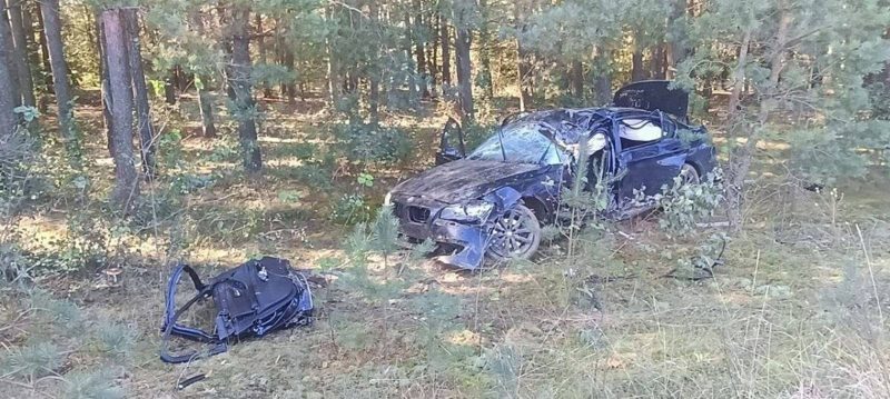 В Житковичском районе водитель погиб при объезде собаки