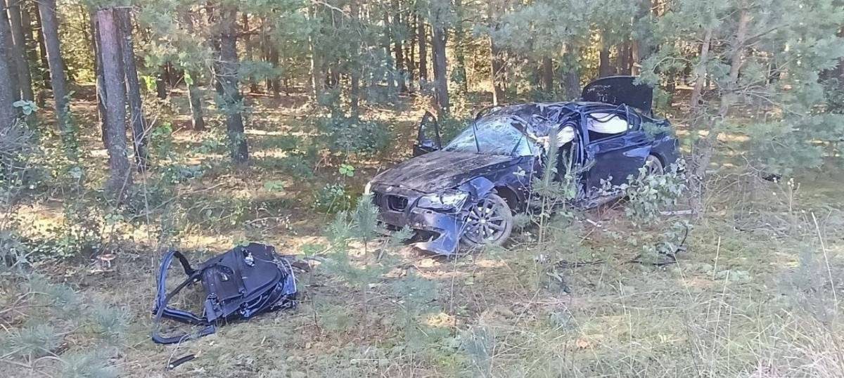В Житковичском районе водитель погиб при объезде собаки