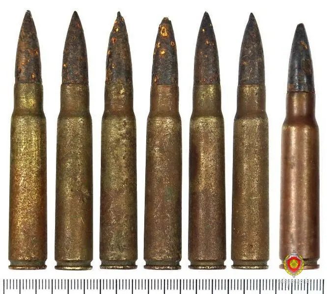 Житель Речицкого района нашел боеприпасы времен Великой Отечественной войны