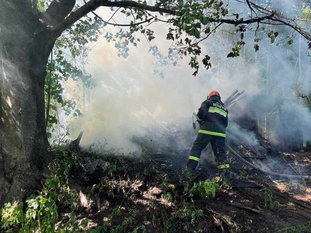 В Гомельской области произошло 12 пожаров из-за игры детей с огнём