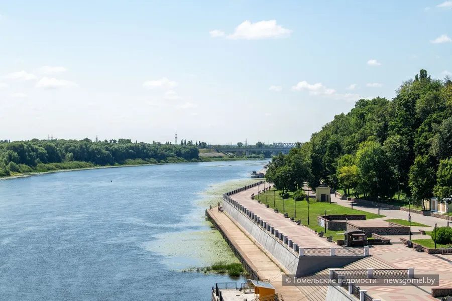В Гомеле спасли двоих из воды на набережной Сожа
