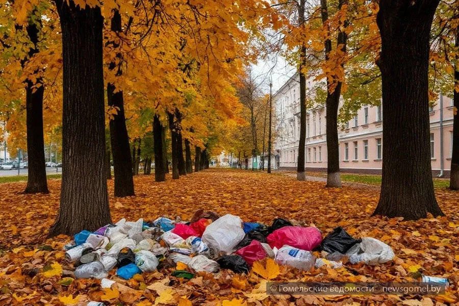 Чисто не там, где убирают, а где не сорят