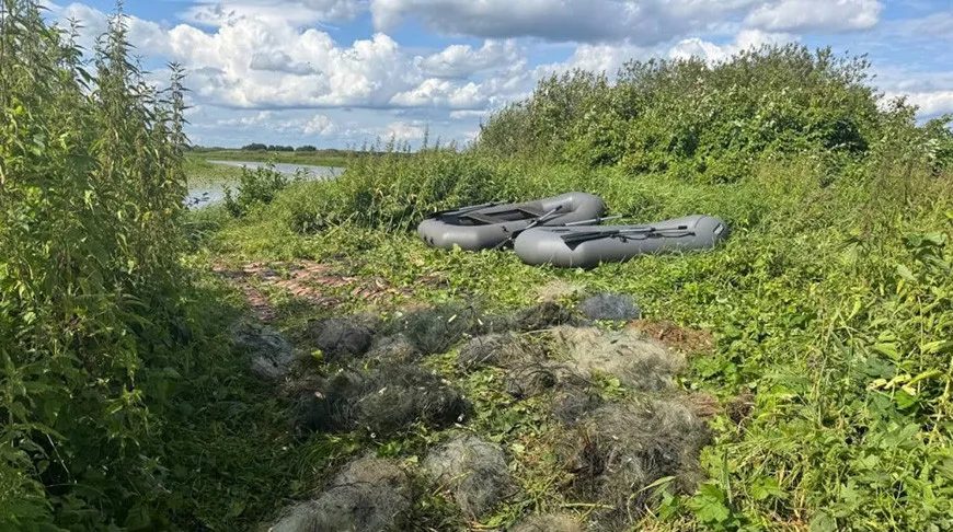 Гомельчанин вовлек подростков в незаконный вылов рыбы в зоне отчуждения