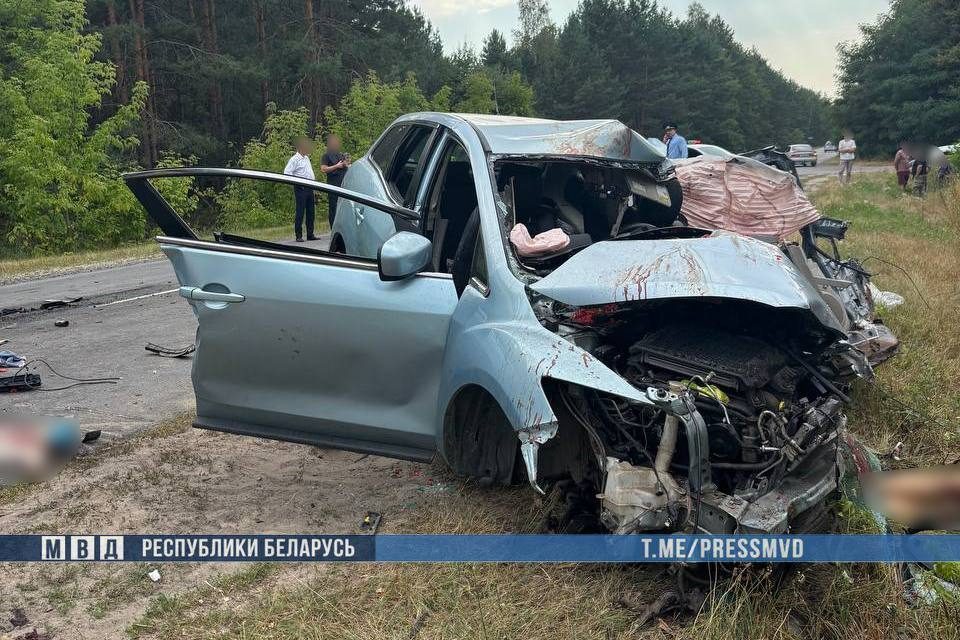 При столкновении легковушки и бензовоза под Светлогорском погибли три человека