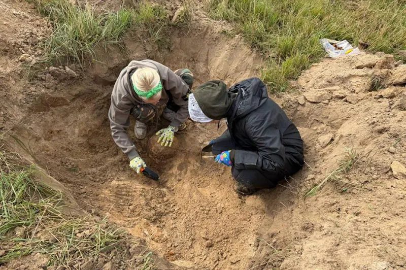 В Жлобинском районе ищут останки советских воинов