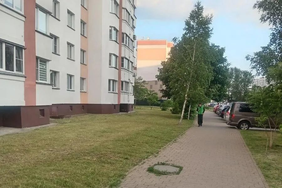 В Гомеле продолжается активный покос травы