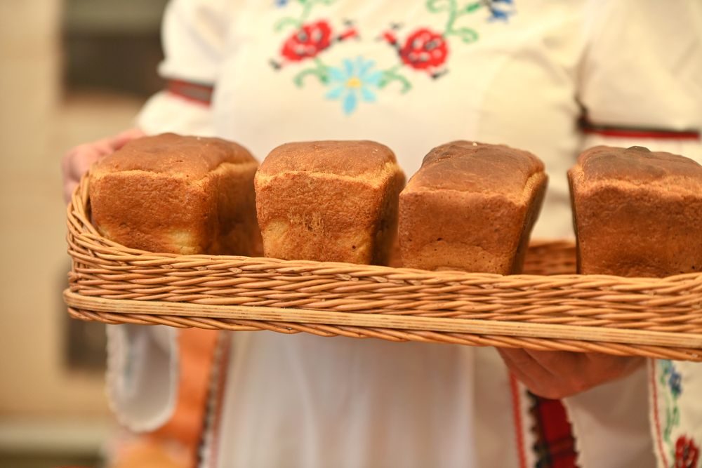 Гомельчане создают квестбуки по родным районам