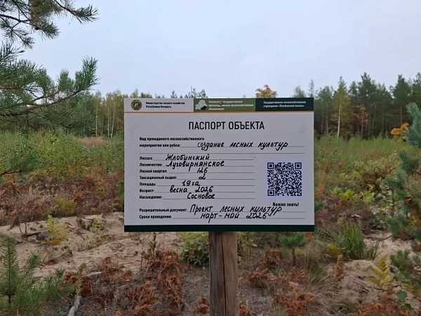В лесах Беларуси устанавливают знаки с QR-кодами