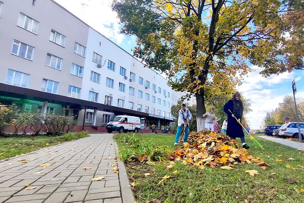 Трудовые коллективы Гомеля взялись за уборку опавшей листвы