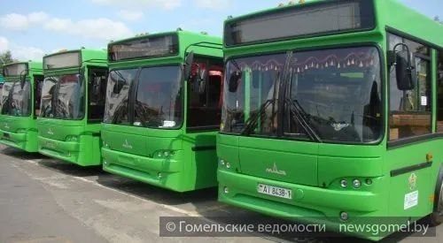 В Гомеле с 1 по 8 ноября отменят часть рейсов для подвоза школьников