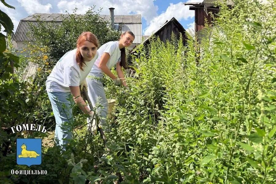 Волонтёры Гомеля помогают одиноким пожилым и ветеранам