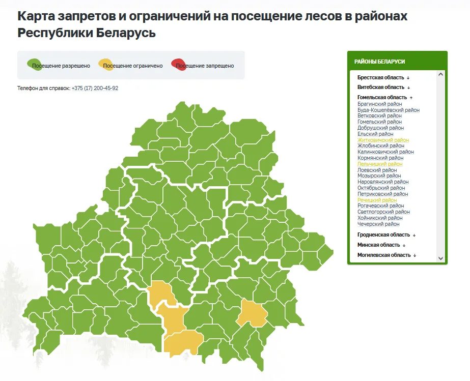 В трех районах Гомельской области ограничили посещение лесов