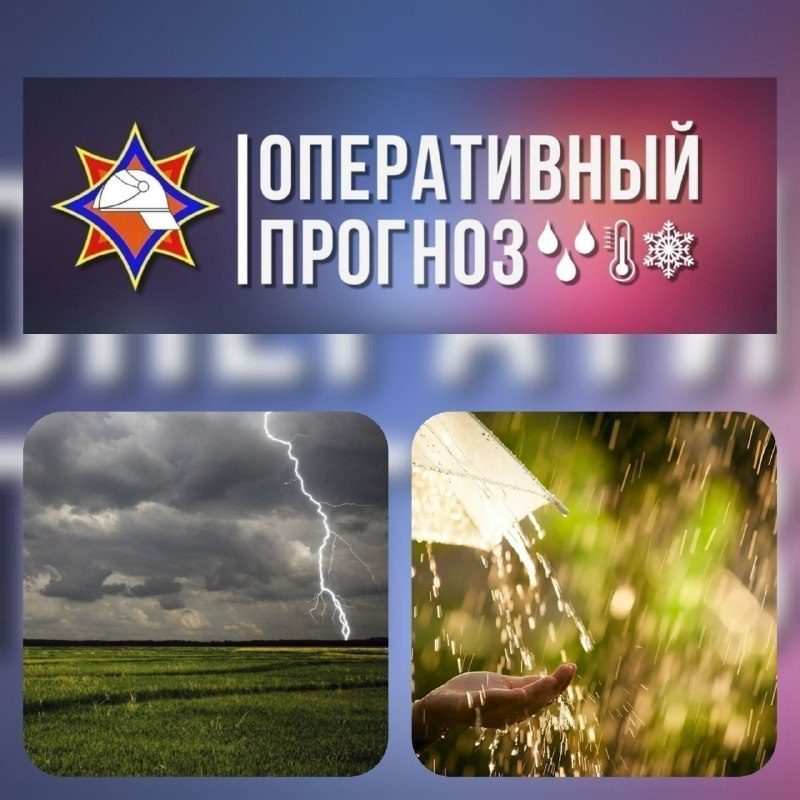 В Гомельской области объявлен красный уровень опасности из-за грозы и шквального ветра