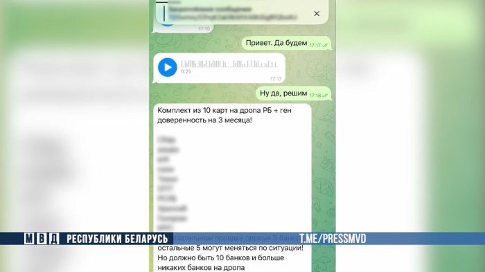 В Гомеле задержаны двое, продававшие реквизиты чужих банковских карт