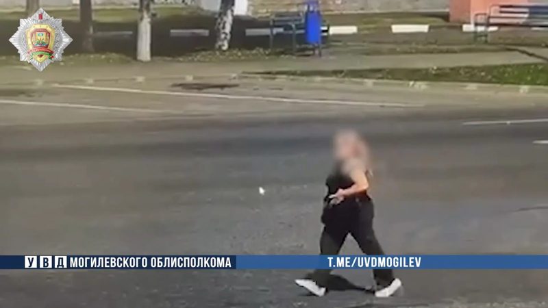 Гомельчанка задержана в Могилеве за серию краж на рынке