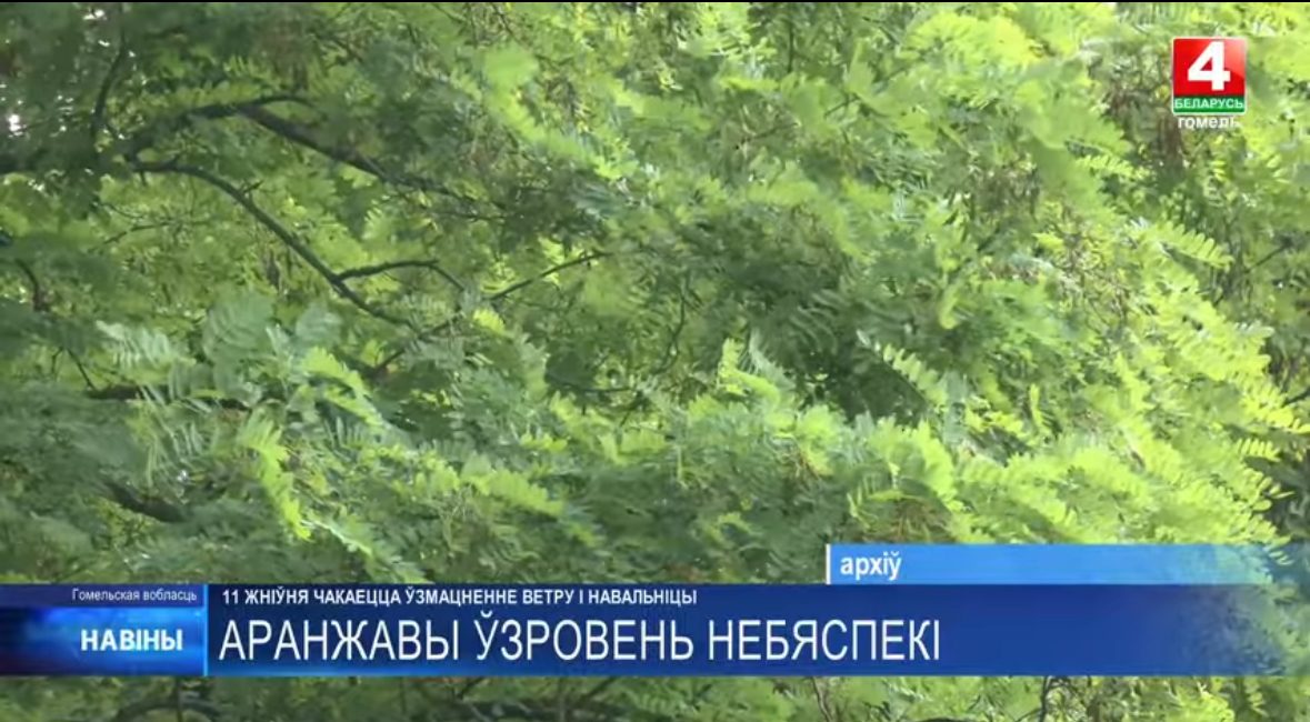 11 августа в Гомельщине ожидаются сильные ветры и грозы
