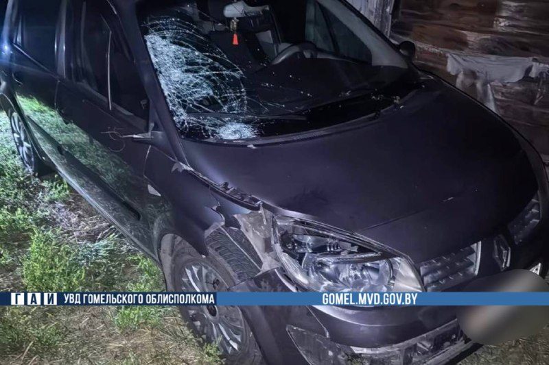 Задержан водитель, скрывшийся с места смертельного ДТП в Жлобинском районе
