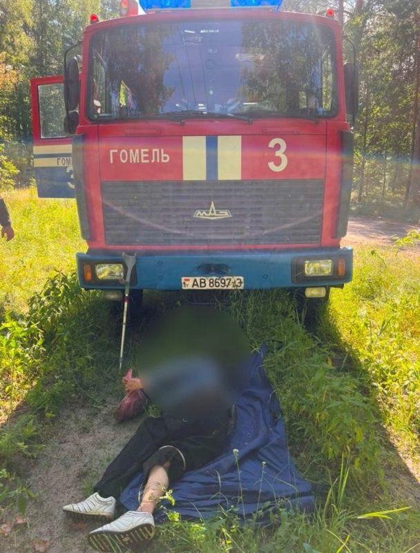 Спасатели помогли пенсионерке, упавшей в лесу Гомельского района